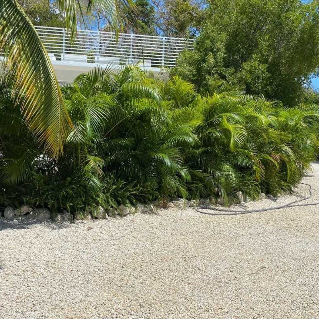 Expert landscaping service in florida (1)