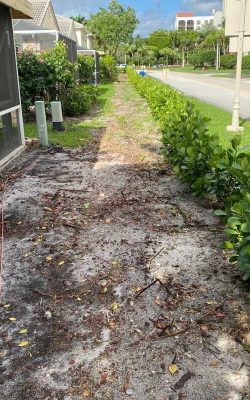 The best landscaping service in homestead, FL (11)
