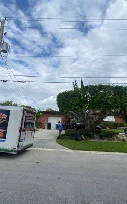 The best landscaping service in homestead, FL (13)