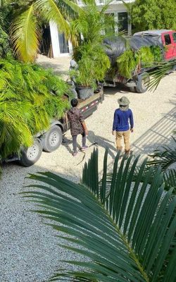 The best landscaping service in homestead, FL (15)