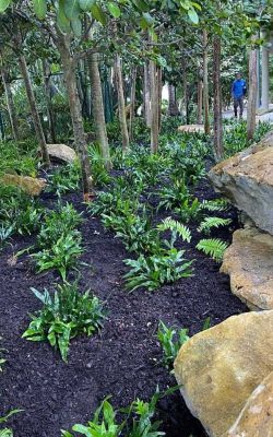 The best landscaping service in homestead, FL (7)